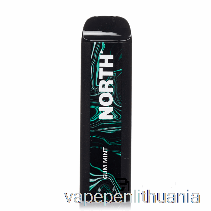 North 5000 Vienkartinės Gumos Mėtų Vape Skystis